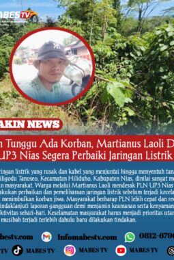 Jangan Tunggu Ada Korban, Martianus Laoli Desak PLN UP3 Nias Segera Perbaiki Jaringan Listrik Rusak