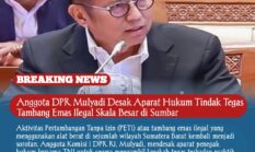 Anggota DPR Mulyadi Desak Aparat Hukum Tindak Tegas Tambang Emas Ilegal Skala Besar di Sumbar