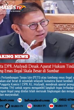Anggota DPR Mulyadi Desak Aparat Hukum Tindak Tegas Tambang Emas Ilegal Skala Besar di Sumbar