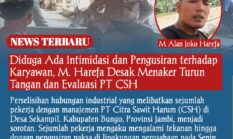 Diduga Ada Intimidasi dan Pengusiran terhadap Karyawan, M. Harefa Desak Menaker Turun Tangan dan Evaluasi PT CSH